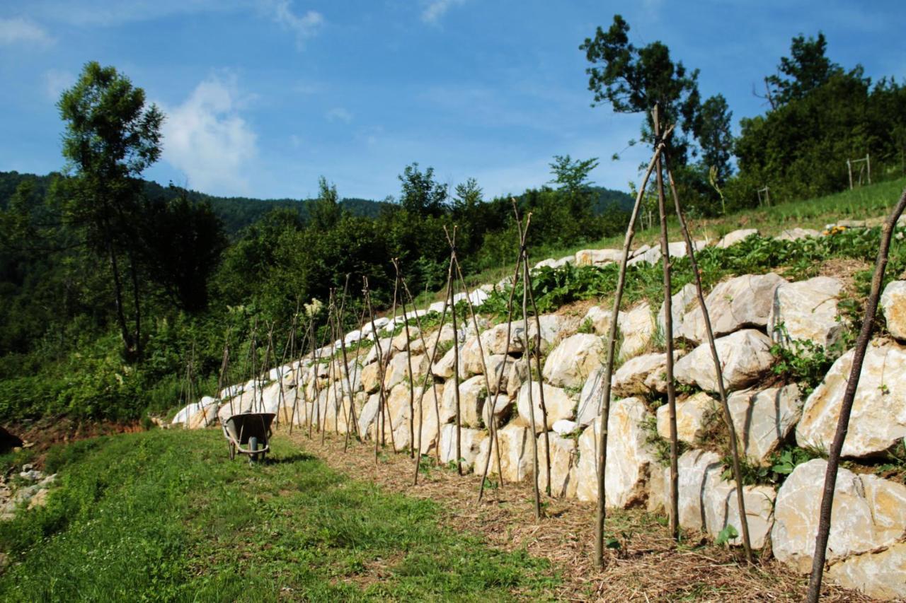 Bosco Delle Rune ..Un Angolo Di Paradiso Platischis Ngoại thất bức ảnh