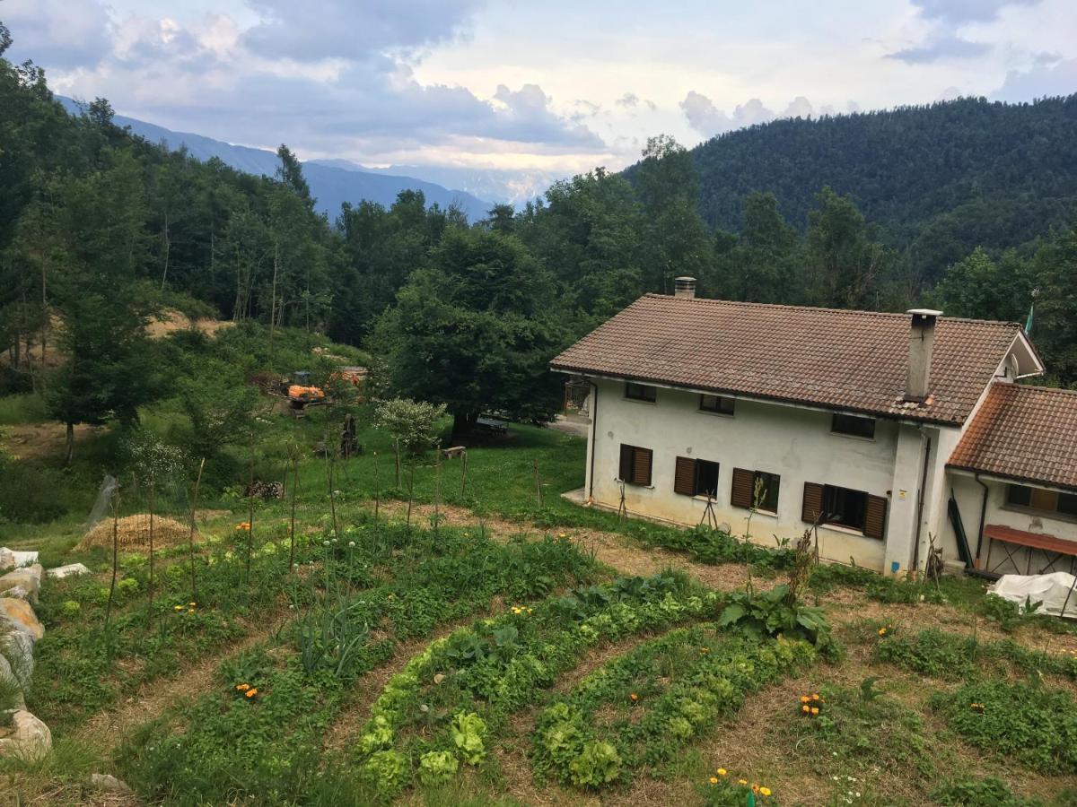 Bosco Delle Rune ..Un Angolo Di Paradiso Platischis Ngoại thất bức ảnh