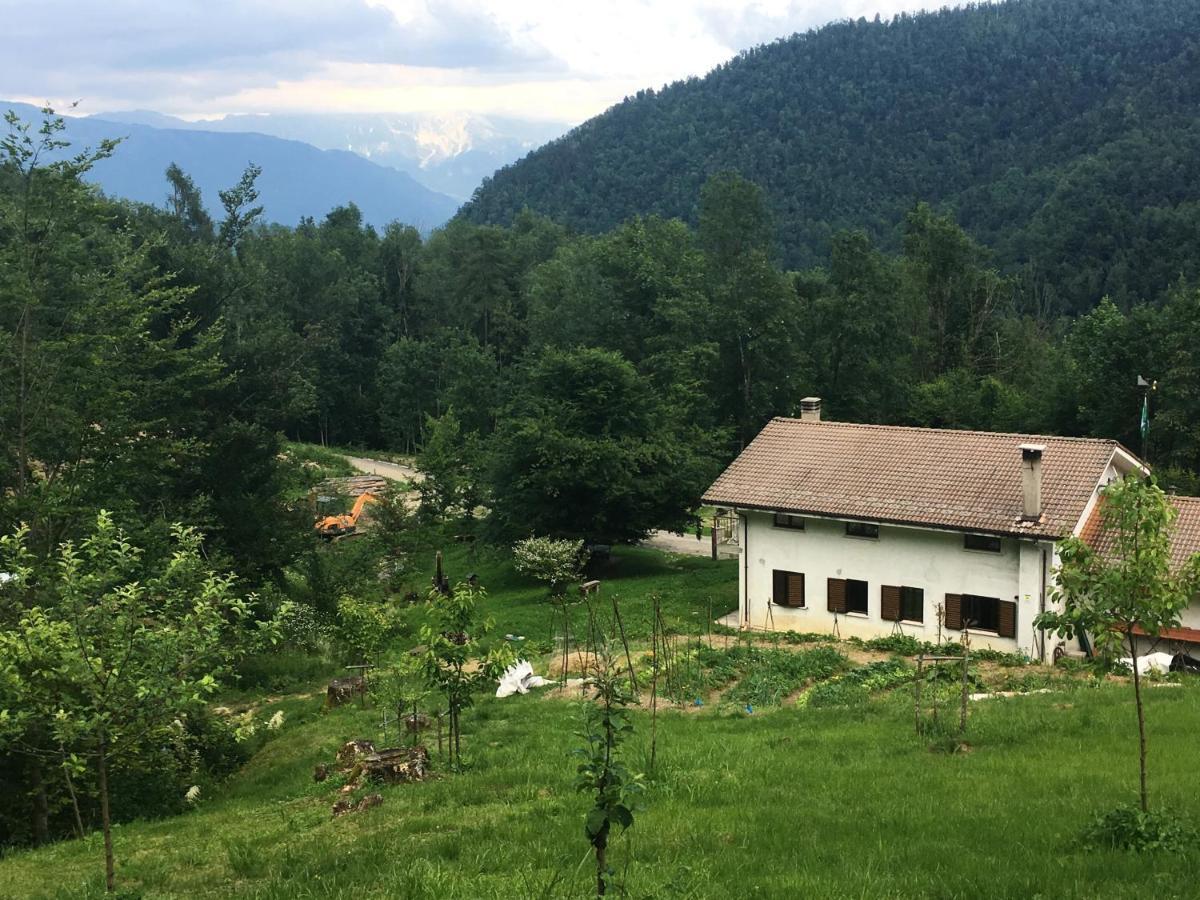 Bosco Delle Rune ..Un Angolo Di Paradiso Platischis Ngoại thất bức ảnh