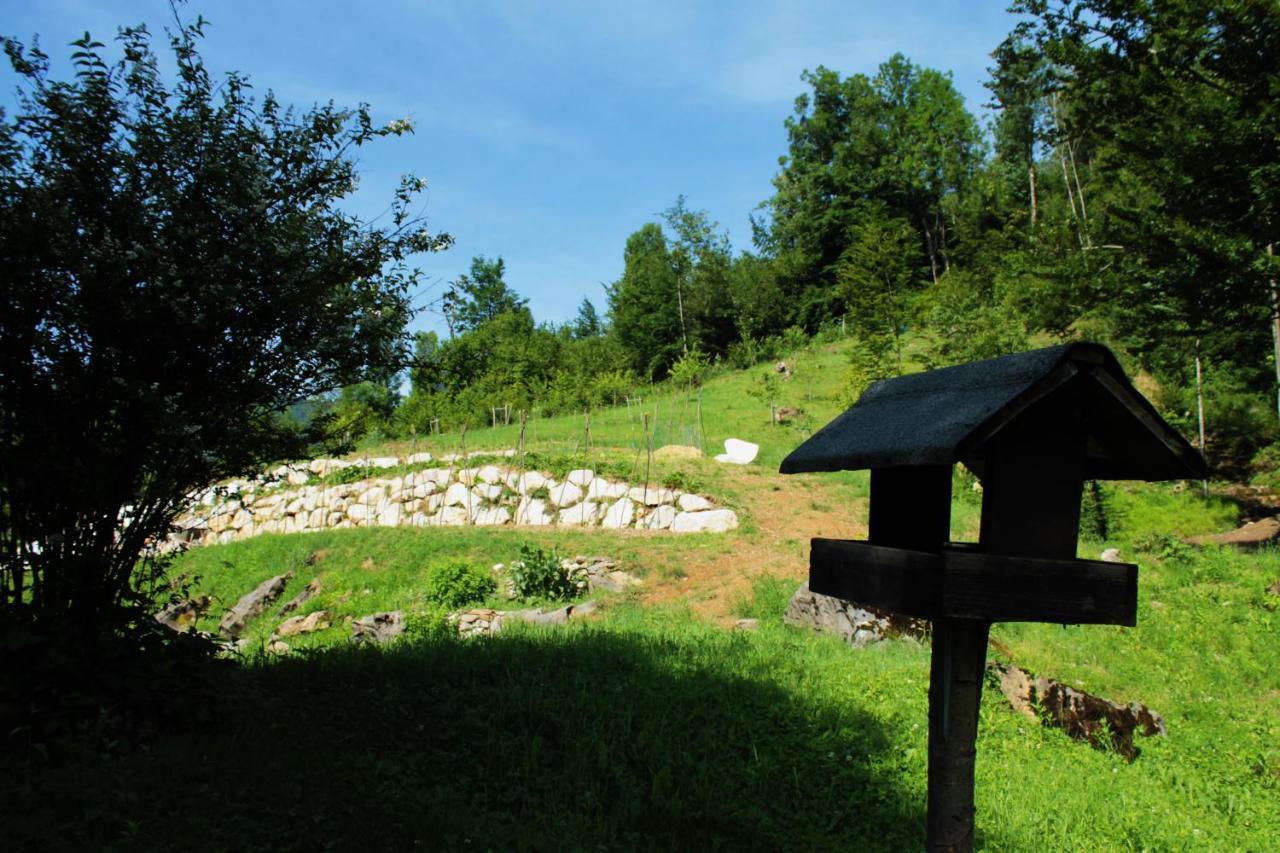 Bosco Delle Rune ..Un Angolo Di Paradiso Platischis Ngoại thất bức ảnh
