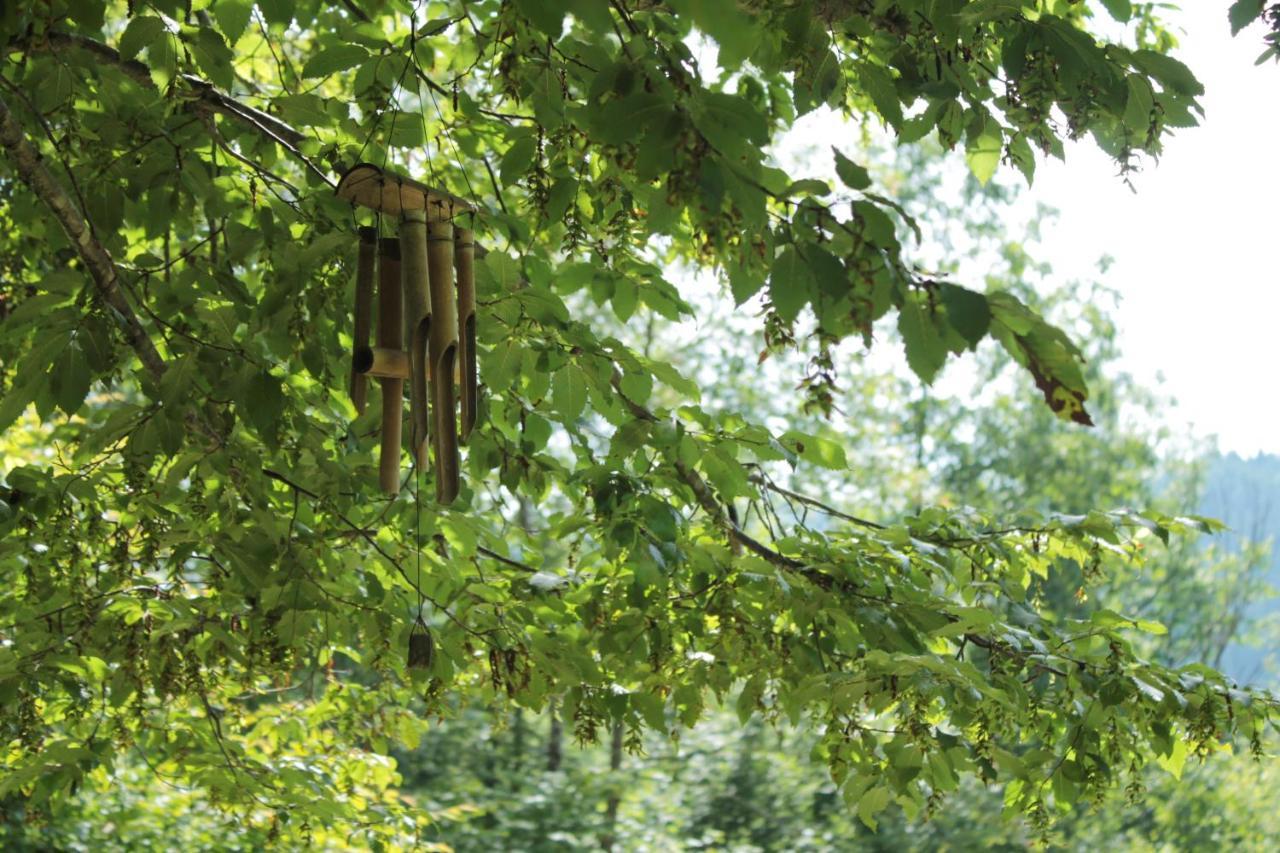 Bosco Delle Rune ..Un Angolo Di Paradiso Platischis Ngoại thất bức ảnh
